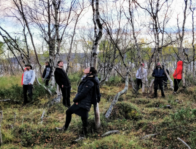 Holding Space with Trees in Kilpisjärvi, 2018.