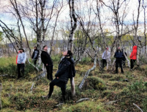 Holding Space with Trees in Kilpisjärvi, 2018. Photo: Martin Malthe Borch