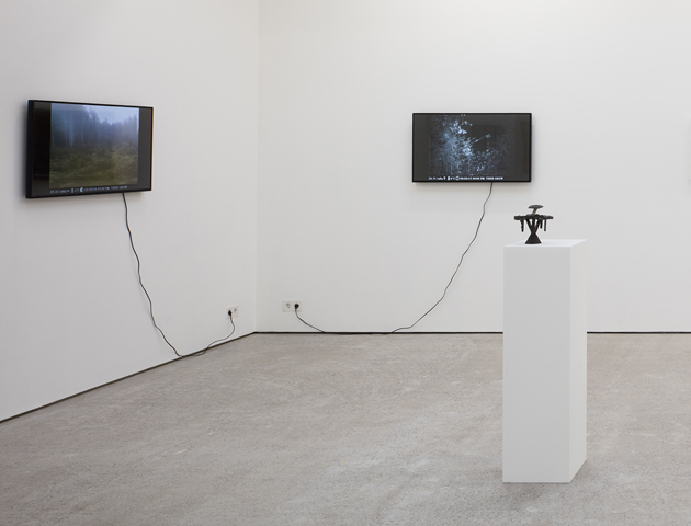 Clear-cut Preservation, video, exhibition view, 2019.