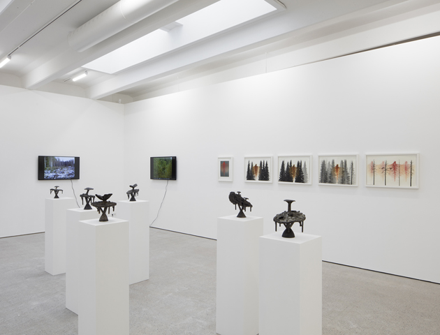 Clear-cut Preservation, video, exhibition view, 2019.