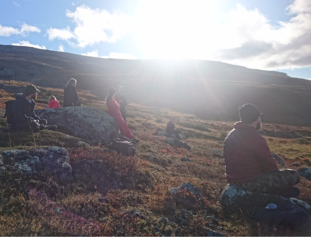 Herding close to Saana, 2018.