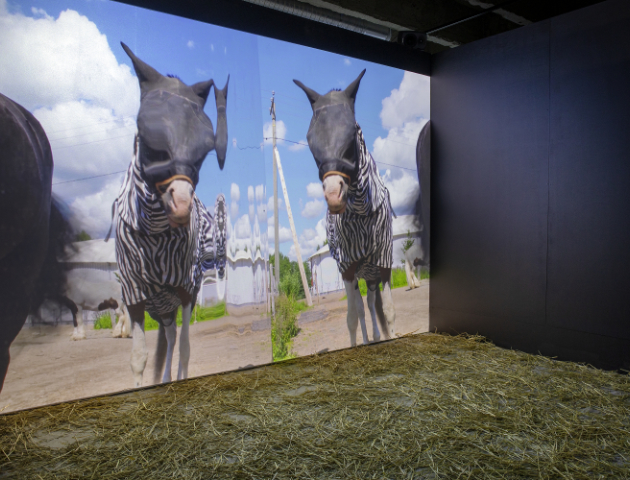 Com Scire, video installation view, 2020. Photo by Jenni Latva.