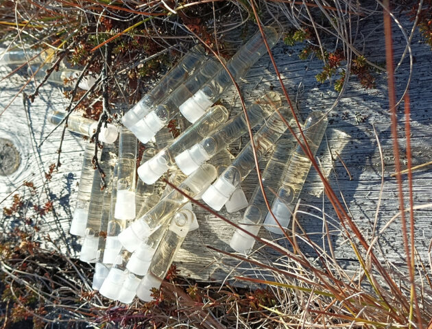 Tubes of water from melted from permafrost for foot baths, 2022.