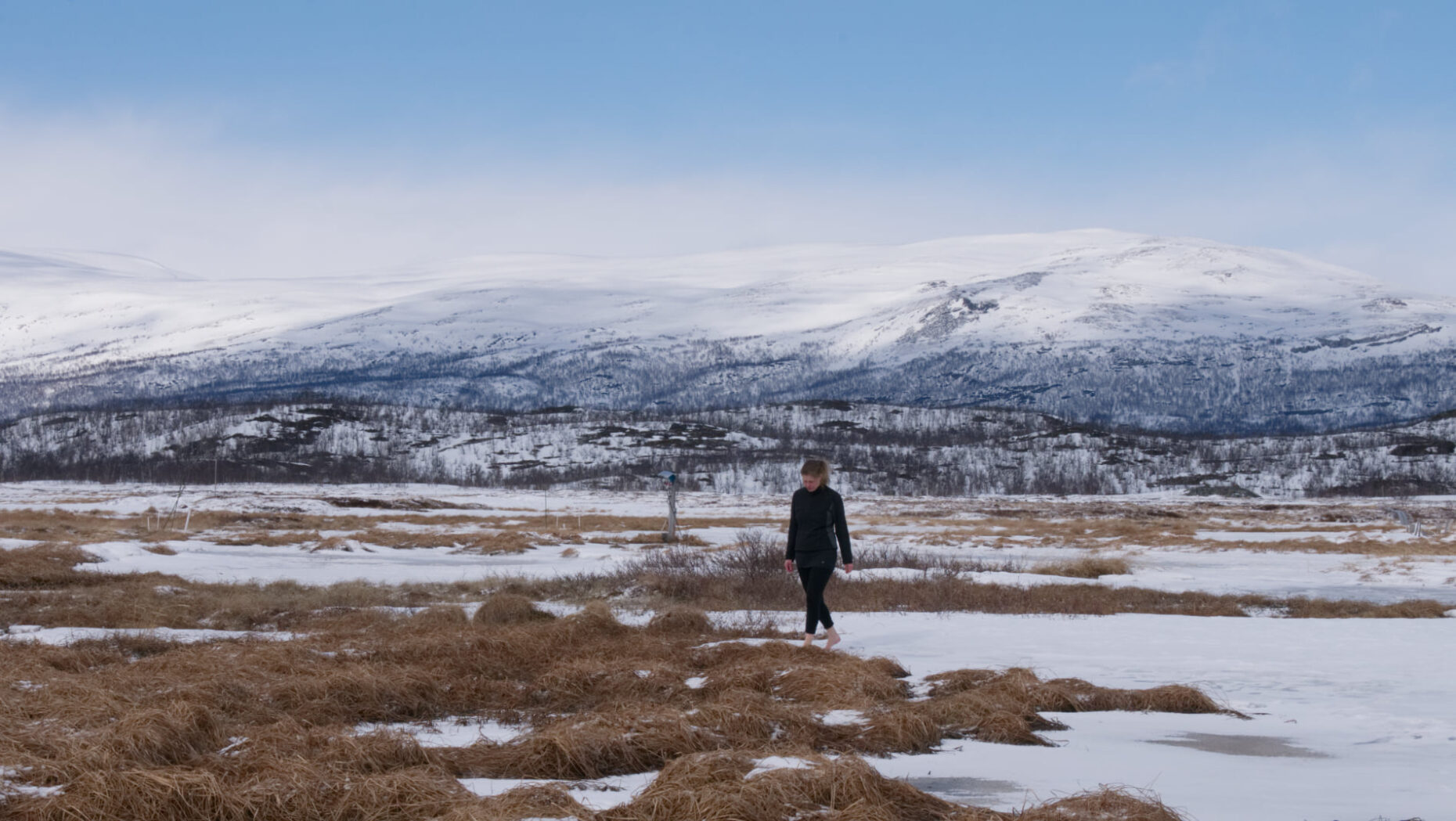 Walking with permafrost on the site of Abisko. The permafrost have thawn for a meter in this location, Stordalen, 2022. Photo by Yongmei Gong