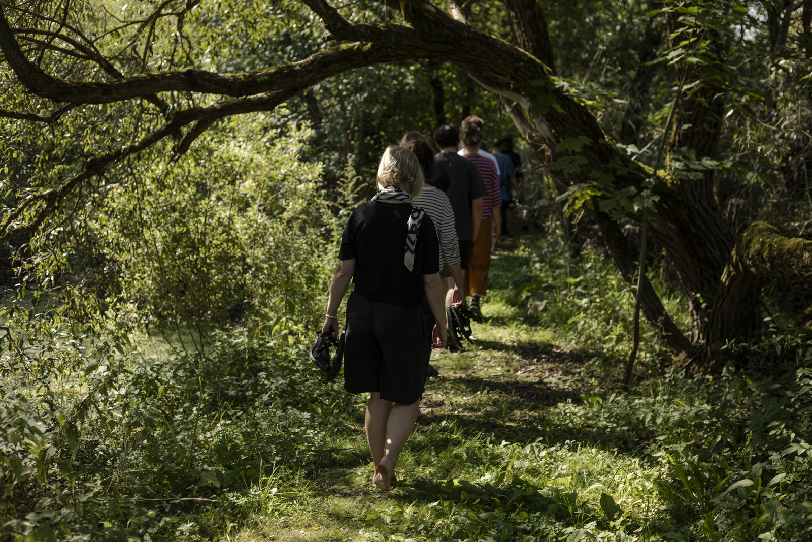 People walking in the forest.